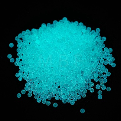 Luminous Transparent Glass Seed Round Beads GLAA-F124-D08-A-1