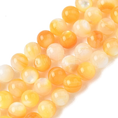 Natural Yellow Shell Beads Strands SH-CBACA76-16A-1