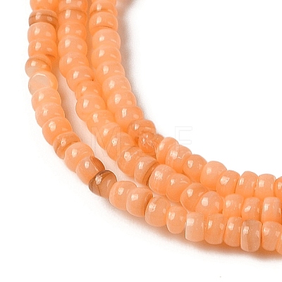 Natural Freshwater Shell Beads Strands SHEL-P017-01B-05-1