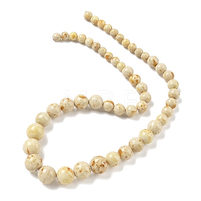 Natural Fossil Graduated Beads Strands G-F830-A03-01A-1