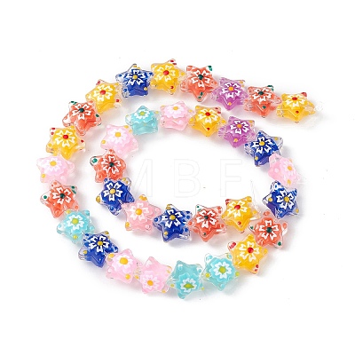 Handmade Lampwork Beads Strands LAMP-F029-03-1