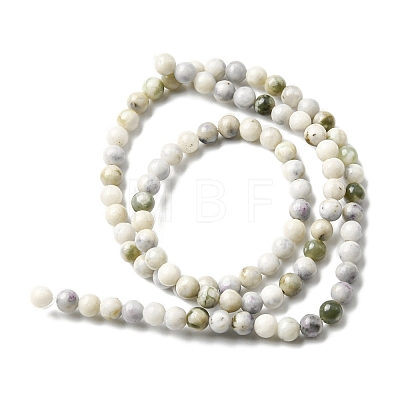 Natural Peace Jade Beads Strands G-E598-04D-1
