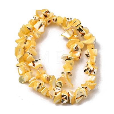 Natural Trochid Shell/Trochus Shell Beads Strands SHEL-B003-02H-1