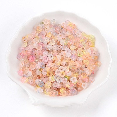 Frosted Transparent Acrylic Beads OACR-N137-72F-1