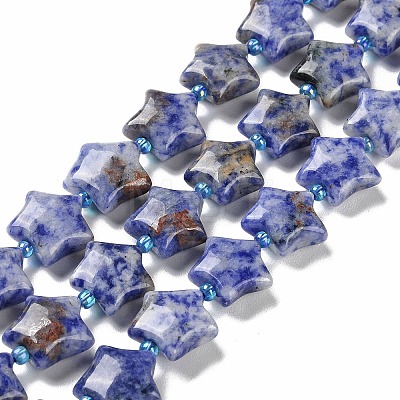 Natural Blue Spot Jasper Beads Strands G-NH0005-002-1