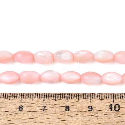 Natural Trochus Shell Beads Strands SHEL-K006-19-01F-1