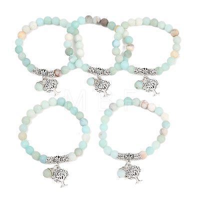 Natural Amazonite Stretch Bracelets BJEW-F262-A09-1