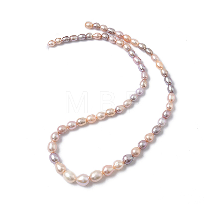 Natural Cultured Freshwater Pearl Beads Strands PEAR-C004-16-1