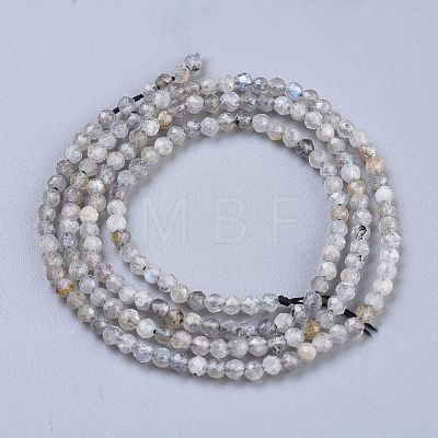 Natural Rainbow Moonstone Beads Strands G-R475-025A-1