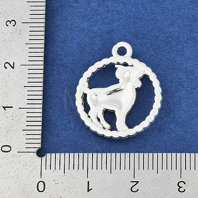 Twelve Constellations Alloy Pendants PALLOY-Q006-01H-S-1