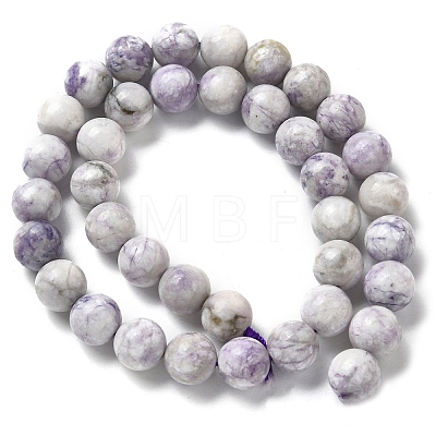 Natural Purple Turquoise Beads Strands G-L595-C04-03-1