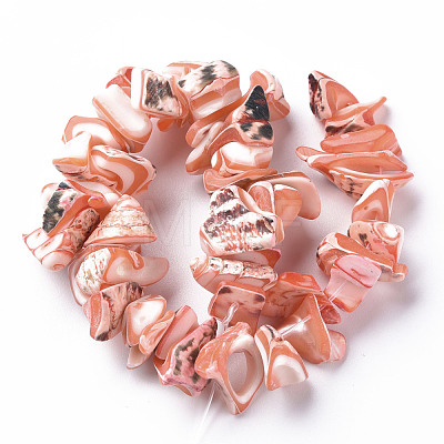 Natural Trochid Shell/Trochus Shell Bead Strands SSHEL-N034-105-A02-1