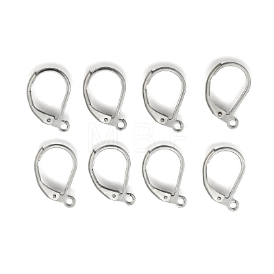 Stainless Steel Color Tone 304 Stainless Steel Leverback Earring Findings X-STAS-E007-3-1