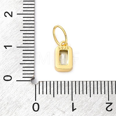 925 Sterling Silver Cubic Zirconia Charms STER-NH0014-01G-08-1