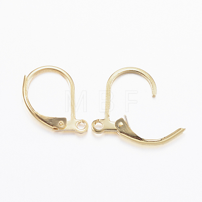 304 Stainless Steel Leverback Earring Findings STAS-L190-14G-1