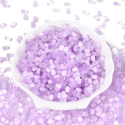 Drawbench Style Glass Seed Beads SEED-N008-10E-1