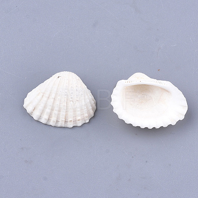 Clam Shell Pendants SSHEL-S258-60-1
