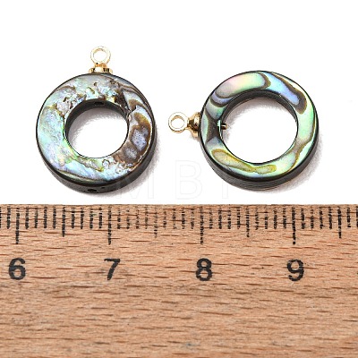 Natural Abalone Shell Pendants SH-CJC0AC7-01G-G-1