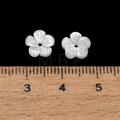 Natural White Shell Beads SH-CBA93AD-07C-1