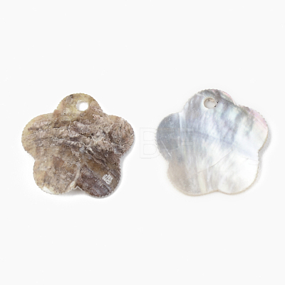 Natural Akoya Shell Pendants X-SHEL-R048-024-1