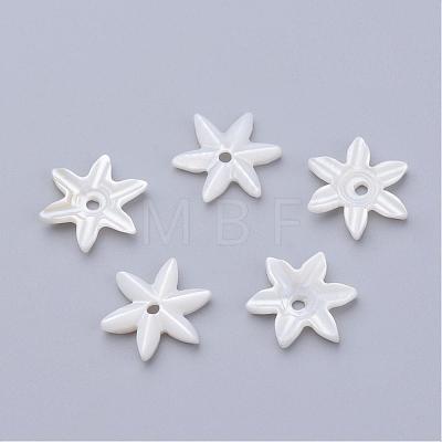 Natural Freshwater Shell Beads SHEL-Q007-08-1