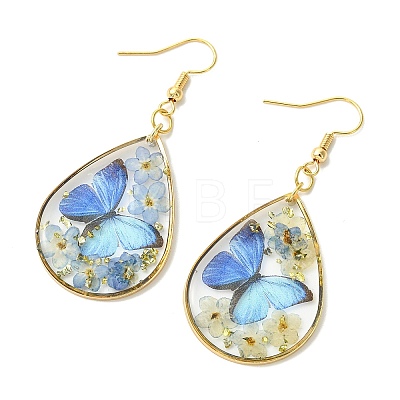 Transparent Epoxy Resin Dangle Earrings EJEW-JE07205-02-1