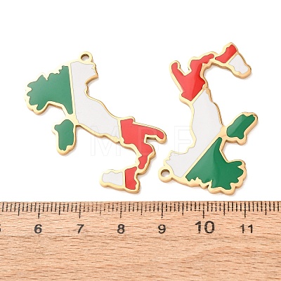 304 Stainless Steel & Enamel Pendants SA-CBA6ECE-01C-G-1