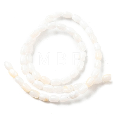 Natural Freshwater Shell Beads Strands SHEL-R129-02-1