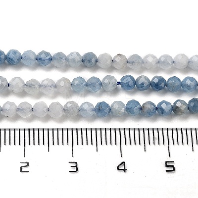 Natural Aquamarine Beads Strands G-B088-C24-03-1