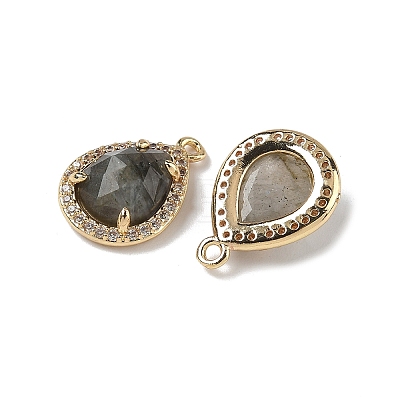 Natural Labradorite Faceted Teardrop Pendants G-U028-02G-06-1