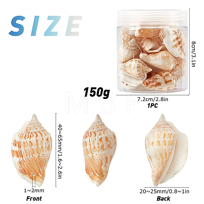 Natural Conch Shell Beads BSHE-SC0001-02-1