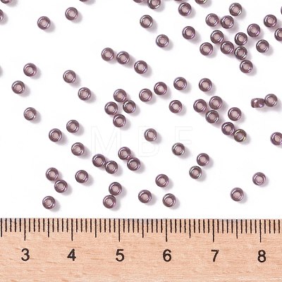 MIYUKI Round Rocailles Beads X-SEED-G008-RR0302-1
