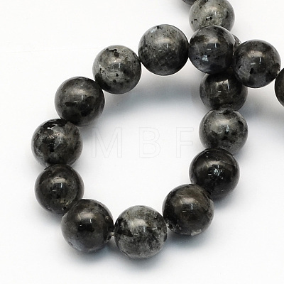 Natural Larvikite Round Beads Strands G-S159-10mm-1