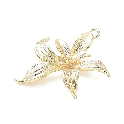 Brass Pendants KK-G601-05G-07-1