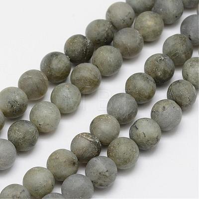 Natural Labradorite Frosted Bead Strands G-O155-04A-6mm-1