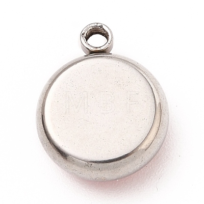 304 Stainless Steel Charms STAS-I165-04A-P-09-1