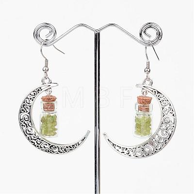 Glass Bottle with Natural & Synthetic Mixed Stone Inside Dangle Earrings EJEW-JE02052-1