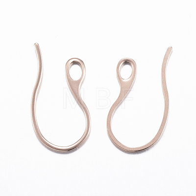 304 Stainless Steel Earring Hooks STAS-H383-28-1