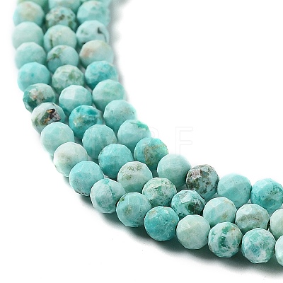 Natural Peruvian Turquoise(Jasper) Beads Strands G-J401-A01-01-1