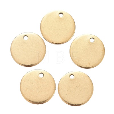 Ion Plating(IP) 304 Stainless Steel Charms STAS-K112-01G-1