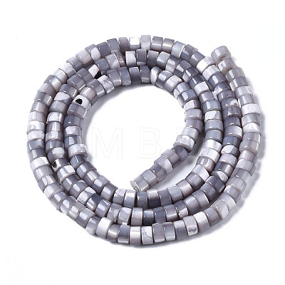 Natural Trochus Shell Beads Strands X-SHEL-S278-027J-1