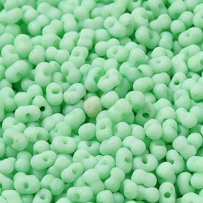 Glass Frosted Seed Beads SEED-K009-05B-05-1