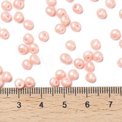 6/0 Glass Seed Beads SEED-L011-08A-25-1