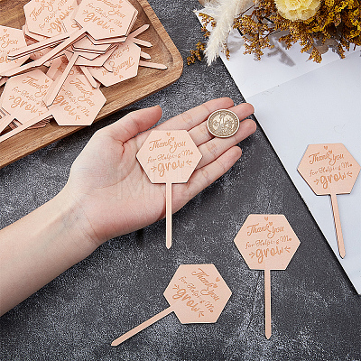 30Pcs Wooden Plant Labels DIY-GF0014-19B-1