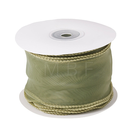 Polyester Mesh Ribbon SRIB-TAC0002-29A-01-1