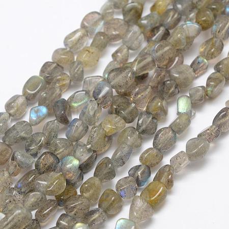 Natural Labradorite Beads Strands G-F521-42-1