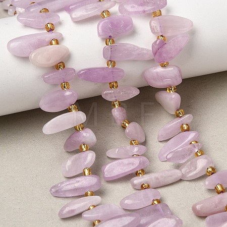 Natural Kunzite Beads Strands G-P604-A26-01-1
