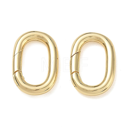 Brass Spring Gate Clasps KK-CBA50B0-29G-1