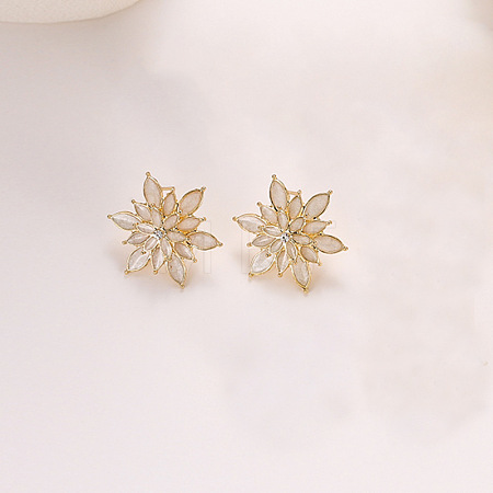 Alloy Enamel Stud Earrings WG34768-04-1