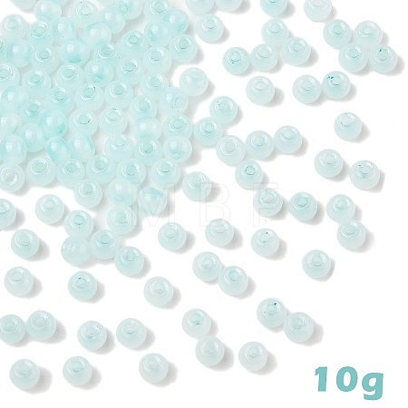 10G Glass Seed Beads SEED-YW0003-03G-1